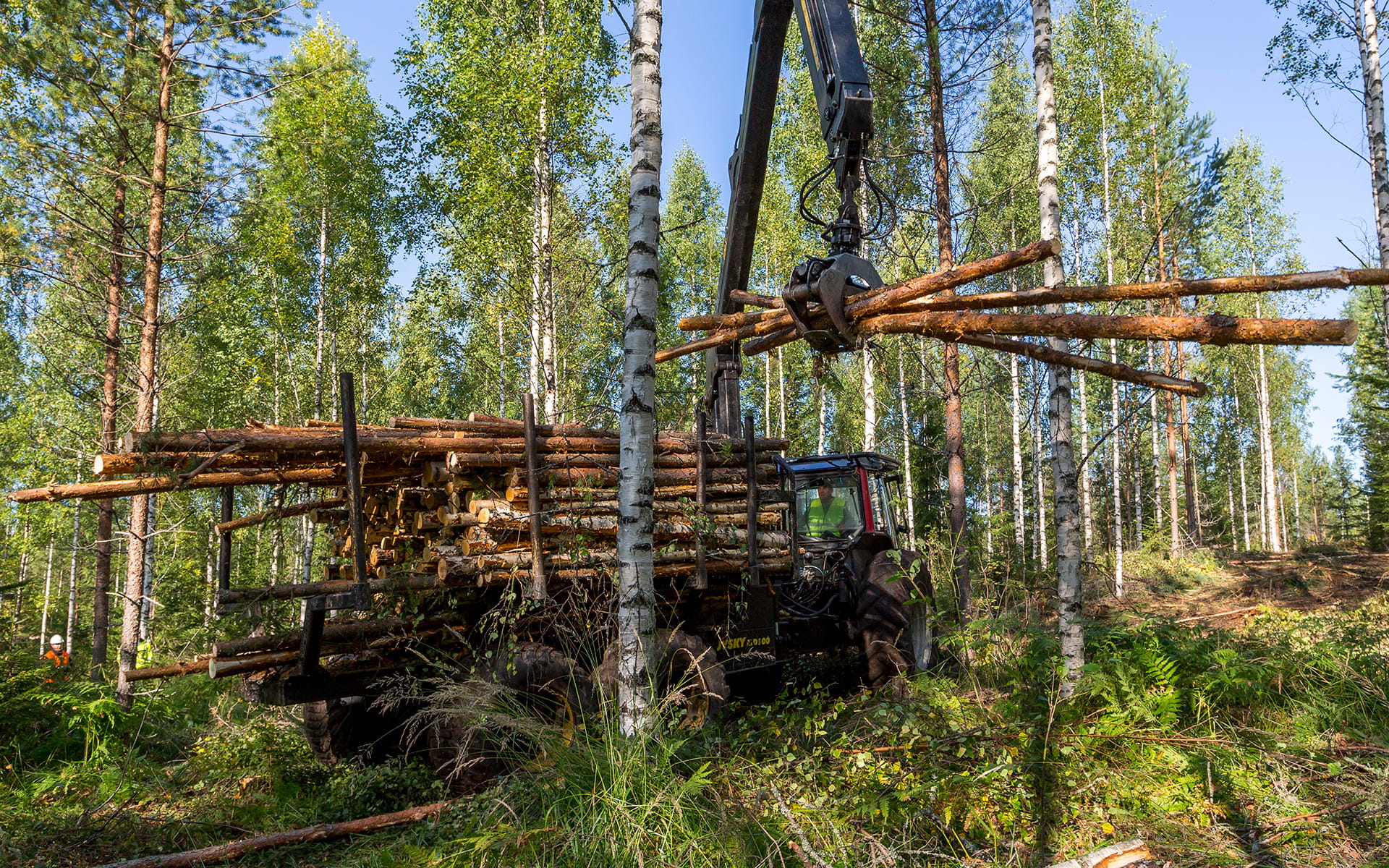 Puumarkkinakatsaus kesäskuu