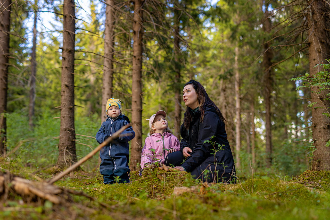 Metsätilan sukupolvenvaihdos