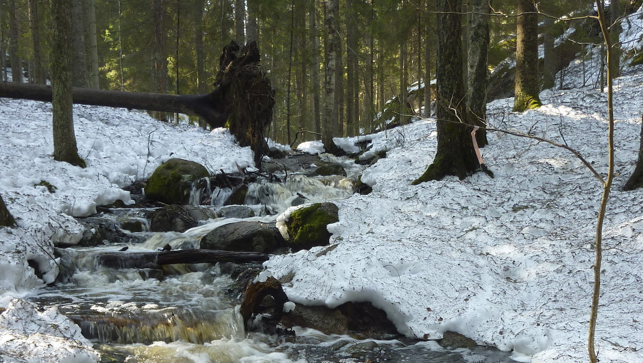 Monimuotoisuutta neljältä vuosikymmeneltä