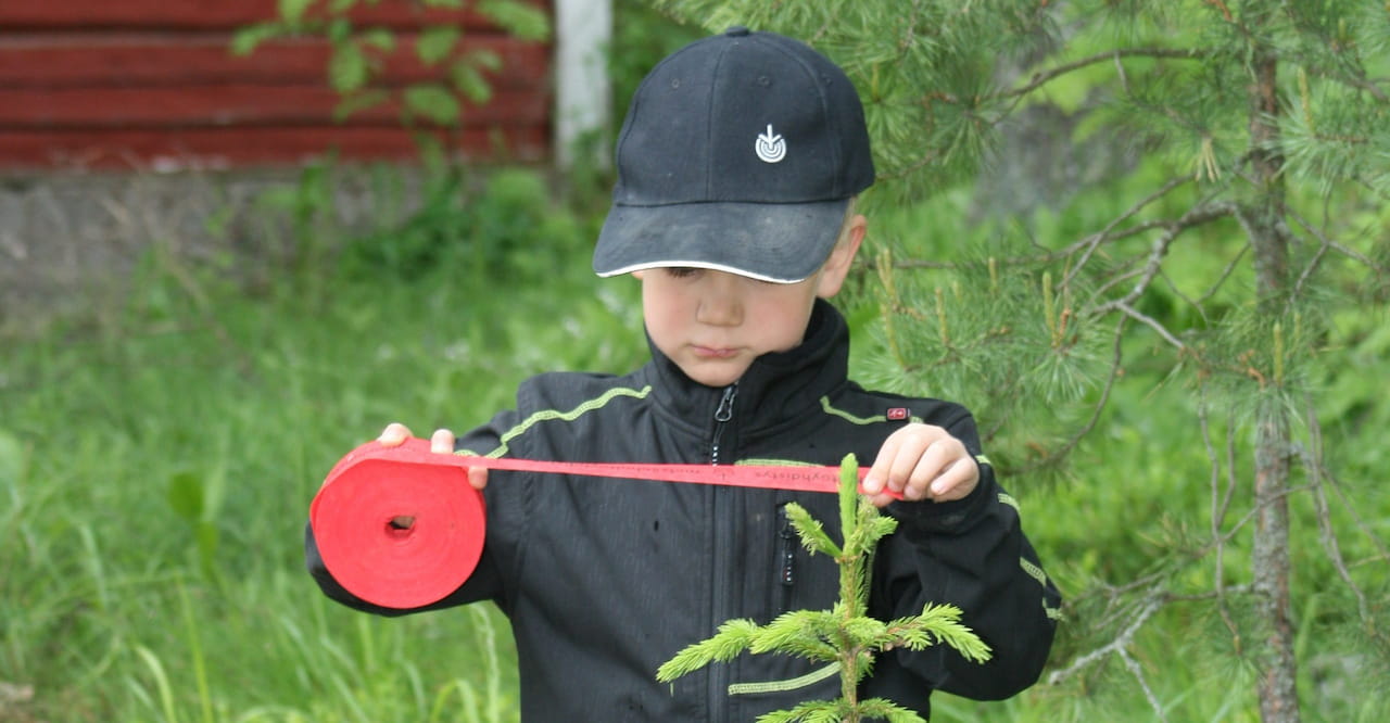 Kasvatetaan yhdessä taimikostasi vahva metsä - Metsänhoitoyhdistys