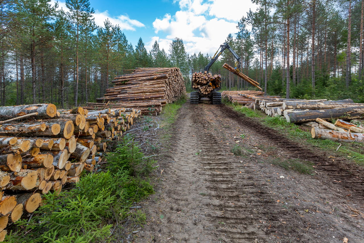 Puutavaralajeihin, runkohintaan vai järeyteen perustuvaa puukauppaa?