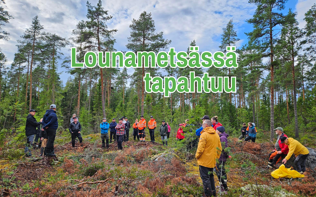 lounametsässä tapahtuu