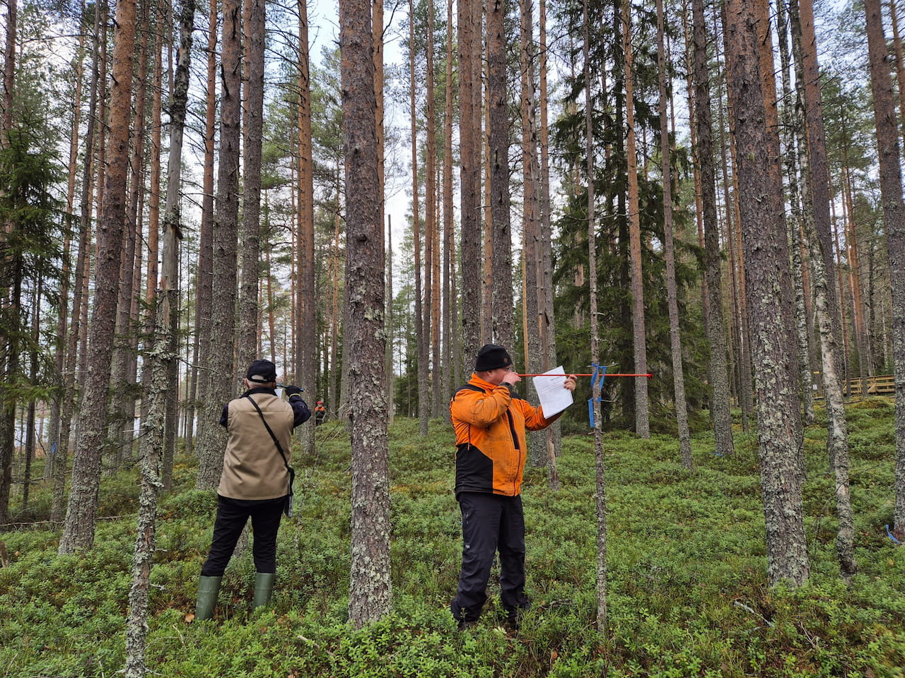 Syksyiset metsätaitokisat käytiin Sonkajärven Jyrkällä