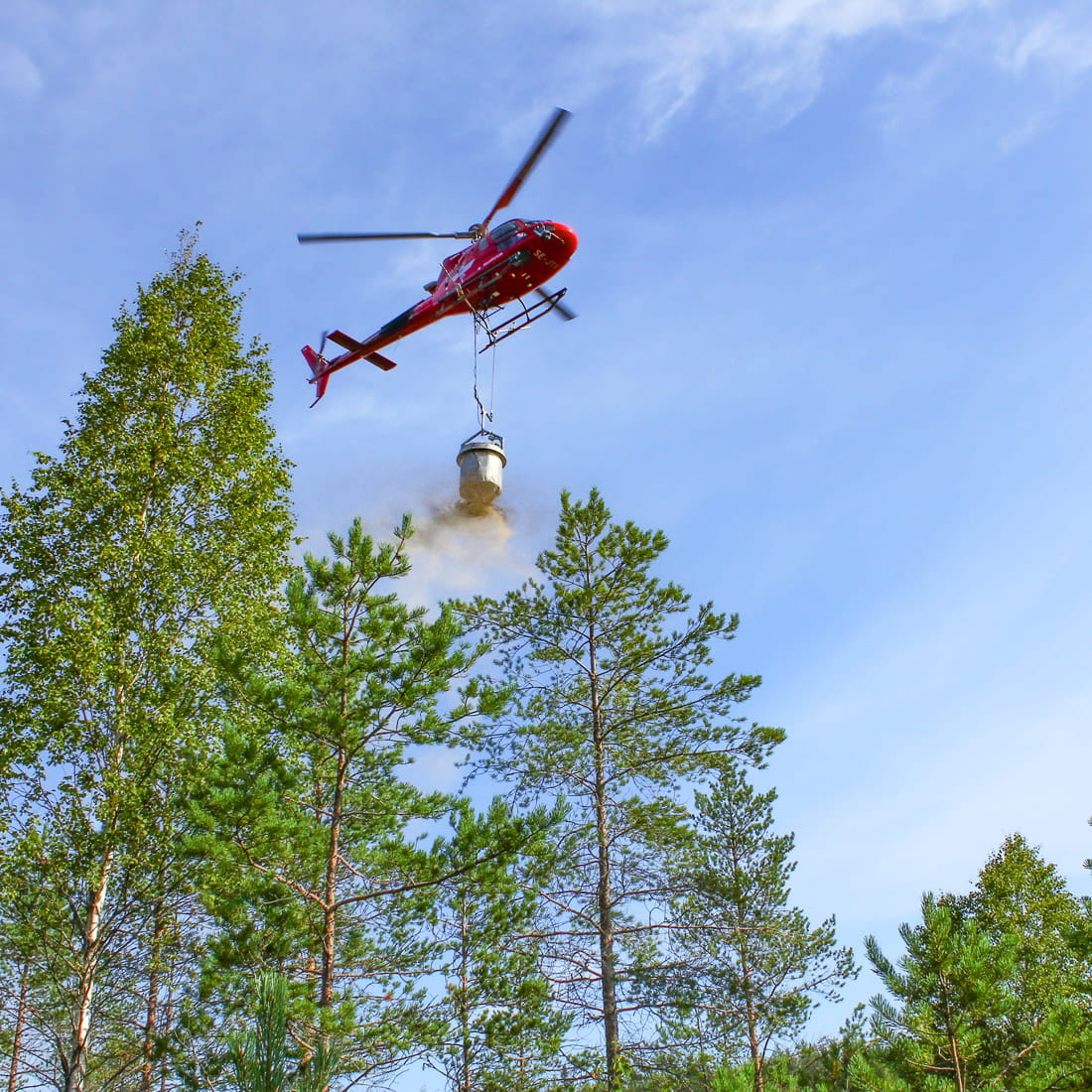 Sijoita metsääsi - tuottavuutta lannoituksella