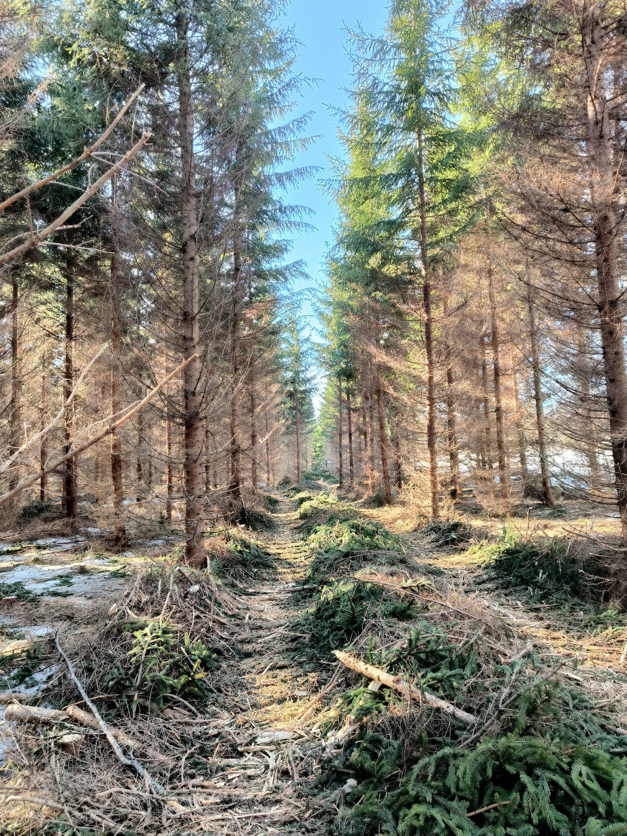Haemme nyt kahta sitoutunutta ja aloitteellista alueneuvojaa