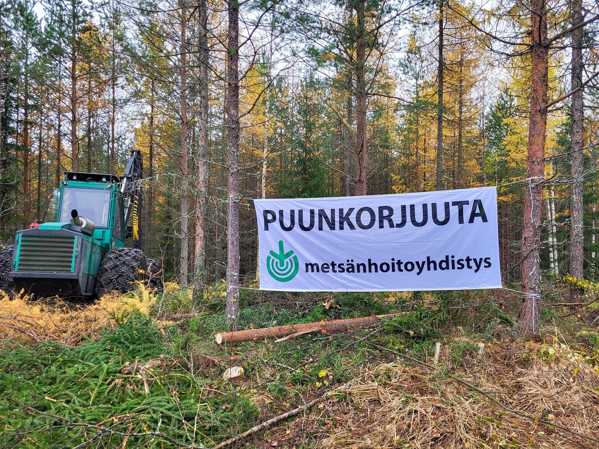 Tervetuloa tutustumaan harvennushakkuisiin ja kokopuunkorjuuseen - Korjuunäytös Pieksämäellä