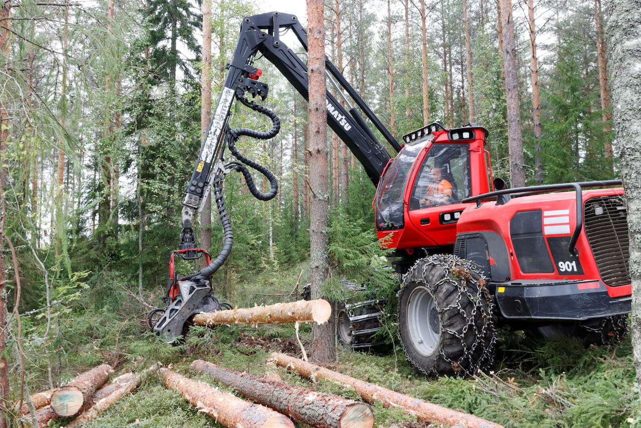 Kuitupuun hinnat ovat olleet laskussa – Metsäennusteet ennakoivat puunkäytön pysyvän korkealla ensi vuonna