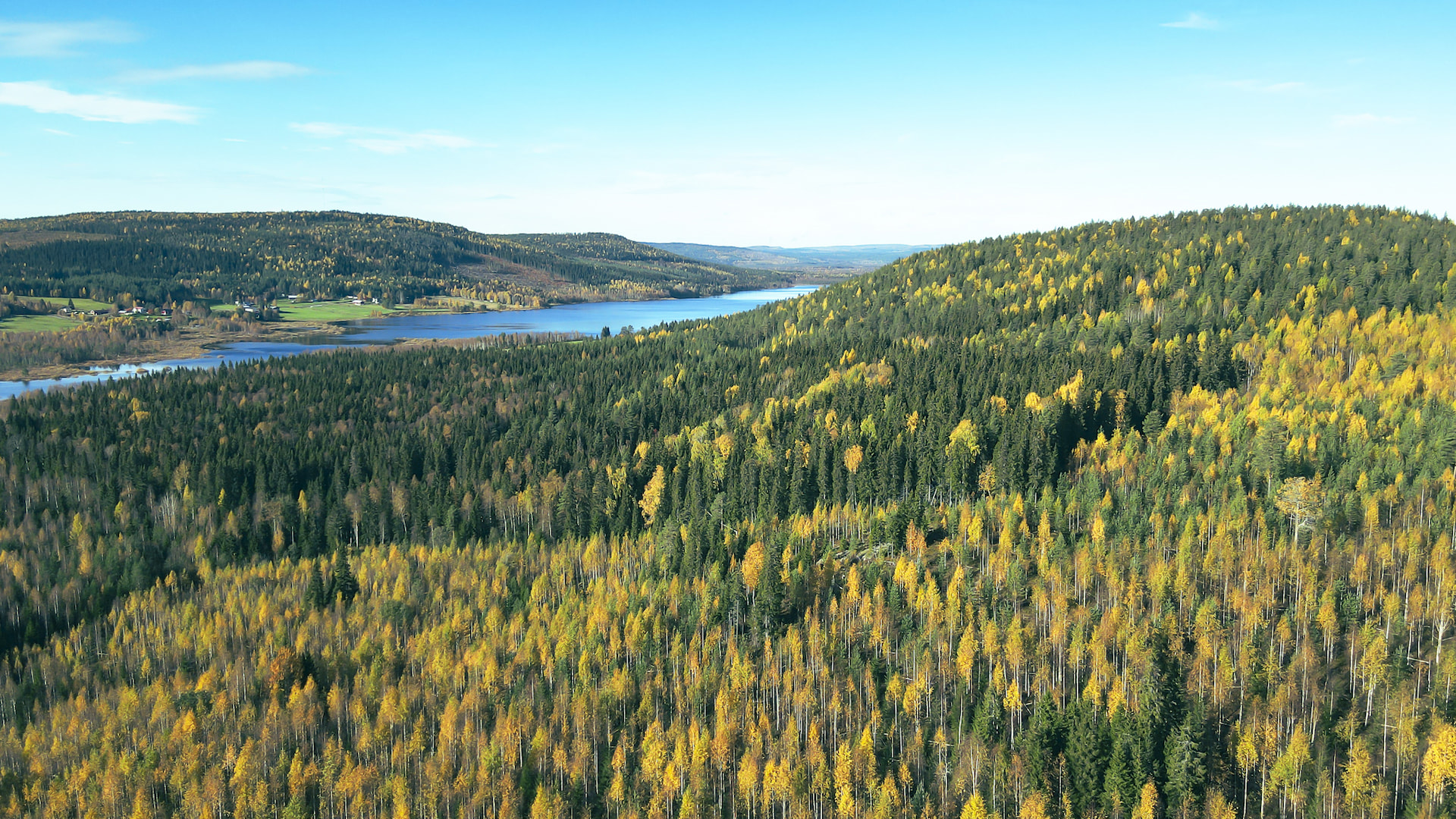 Metsänhoitoyhdistys tuntee metsäsi