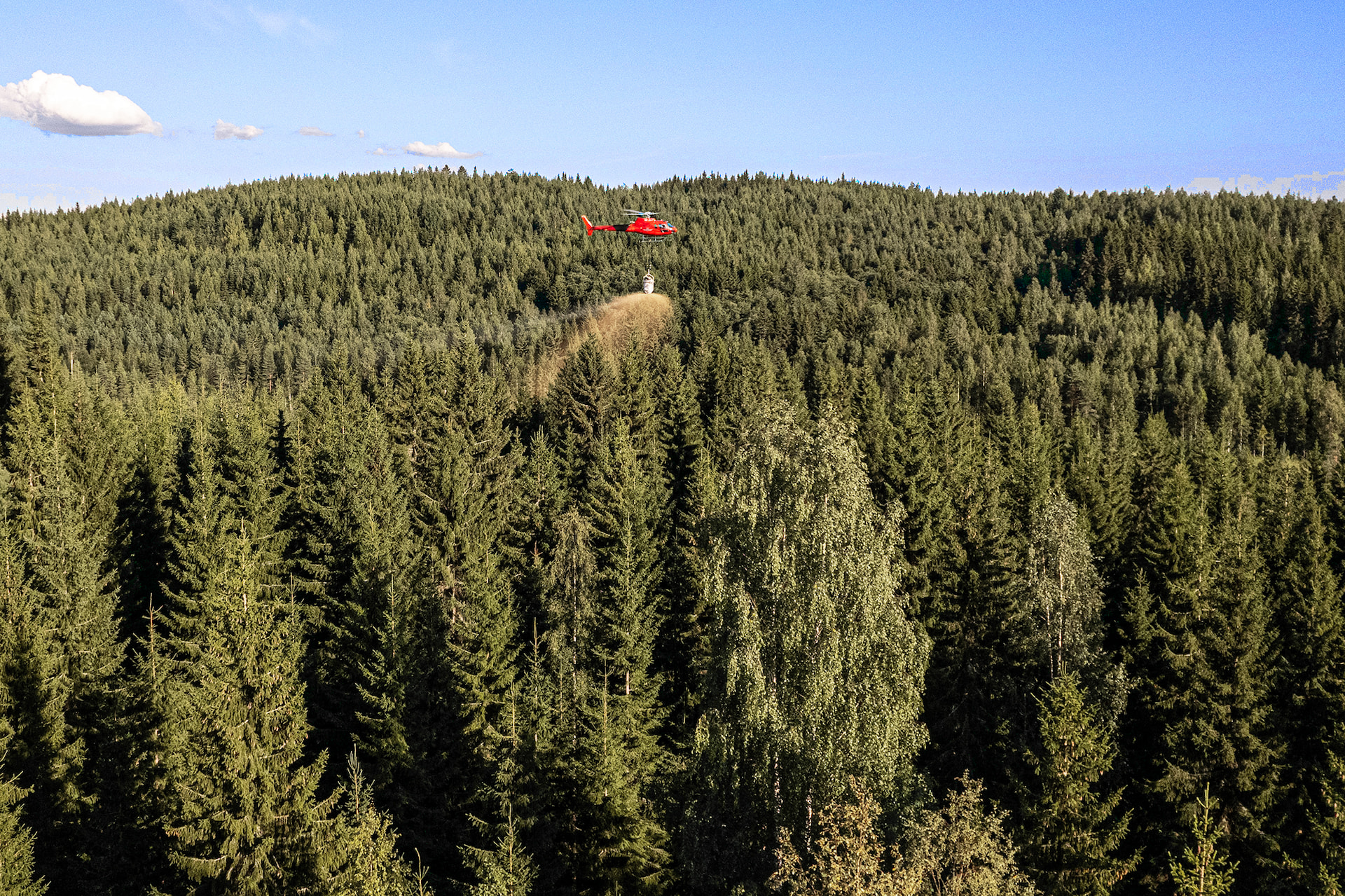 Metsän lannoituksella saat metsäsi tuottamaan