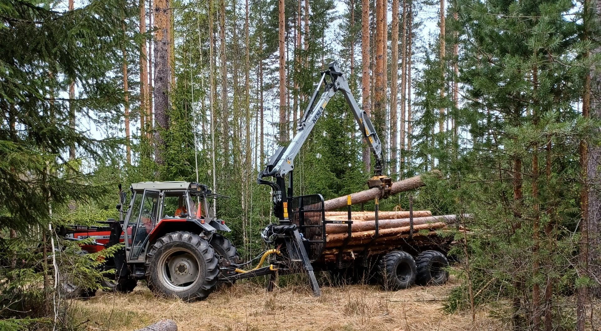 Traktori ja metsäkärry, jonka kyydissä on puita.